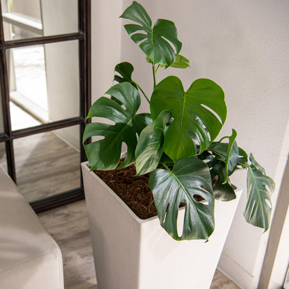 XBrand Modern 30-Inch Tall Square Planter, Modern Tapered Perfect for Indoor & Outdoor Planter, Patio Décor, Set of 2, White