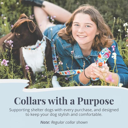 Lucky Love Dog Martingale Dog Collar - Adjustable, No-Slip, Durable, & Soft Webbing Collar for Male and Female Dogs Ideal for Training & Walking - Ladybird, Large