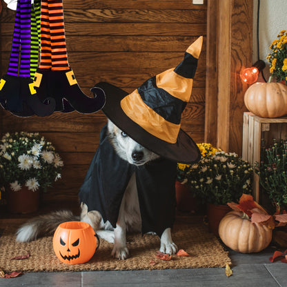 Halloween Dangling Witch Leg Decorations 22”Hx15”W, Green, Orange & Purple Striped Stockings 3/Pk