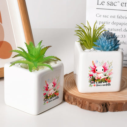 BJDAMAI Axolotl Succulent Planter Flower Plant Pot Small, Gifts for Women Teens Girls Kids, Axolotl Lovers Themed Stuff Accessories Things Decor Merch, Home Office Table Desk Decoration!