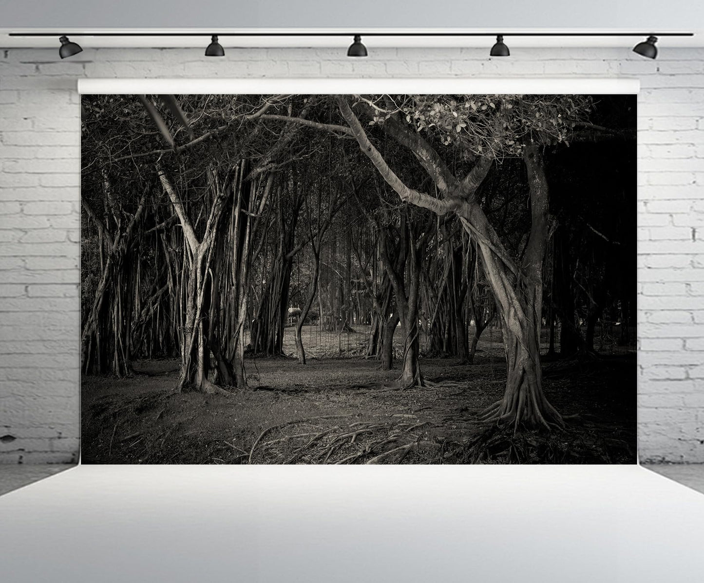 chnywork 9x6ft Misty Dark Forest Backdrop Halloween Woods Gloomy Grove Mystery Vampire Forest Background Magic Witch Wizard Sorcerer Ghost Halloween Festival Party Decors Portrait Photo Props