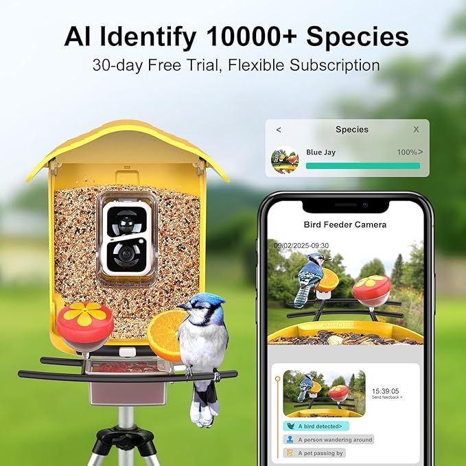 birdsnap® PAV-Bird Feeder with Camera,2K HD with 64GB Card, AI Identify Smart Bird House Cam Solar Panel,Live Stream,Motion Detection,Auto Record Video for Backyard Outdoors,Ideal Gift for Bird Lover