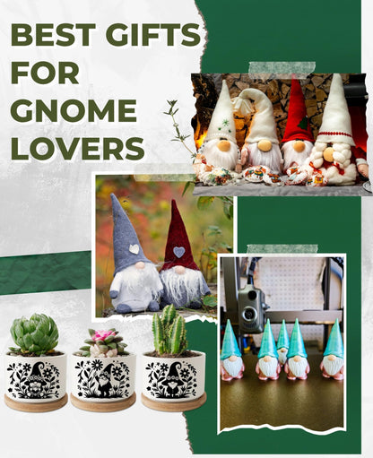 InnoBeta Gnome Gifts for Women Gardening Lovers, Succulent Plant Pots 3pcs, Gifts for Gnome Lovers, Gnomes Planter Pot with Bamboo Tray, Plants NOT Included, for Birthday, Christmas