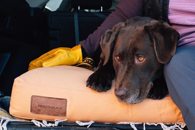 WHITEDUCK Outdoor Dog Bed Heavy-Duty 12oz Canvas, Water-Repellent Cotton, Machine Washable Removable Cover with Full-Length Zipper, Dog Bed for Large Dogs & Crate, (Black) 41" Lx33 Wx4.3 th (XL)