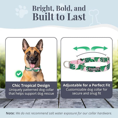 Lucky Love Dog Martingale Dog Collar & Leash - Adjustable, No-Slip, Durable, Comfortable, Soft Webbing, & Stylish Patterned Collar & Leash Set for Male and Female Dogs - Laguna Mart Combo, Large