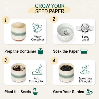 The Growing Candle, Scented Candles 3 Pack, 27oz Natural Soy Wax, Sandalwood Vanilla, Mint Eucalyptus, Rosemary Sage, Aromatherapy Sets, Holiday Gift Set for Women