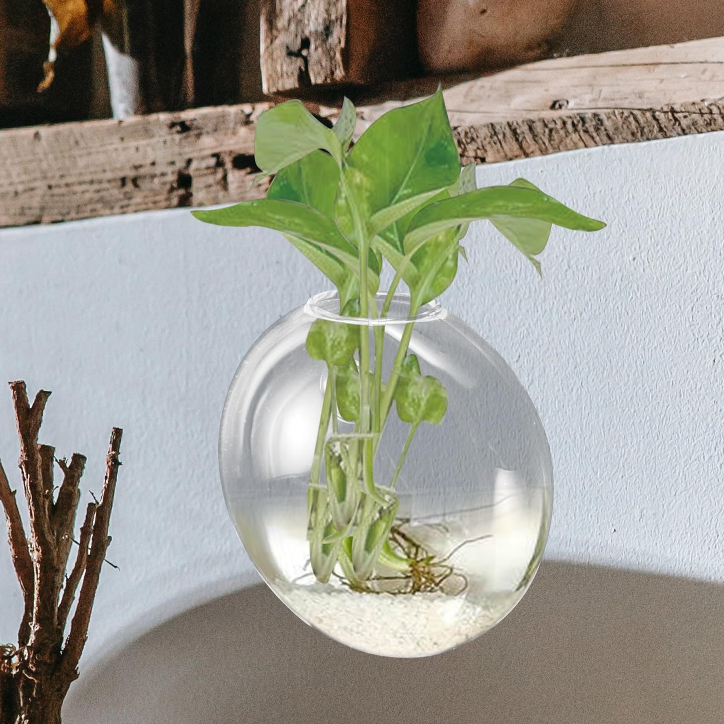 Gatuida Wall Hanging Hydroponic Planter Vase, Glass Wall Terrarium for Indoor Plants, Decorative Flat Glass Vase for Home Décor, 1pcs