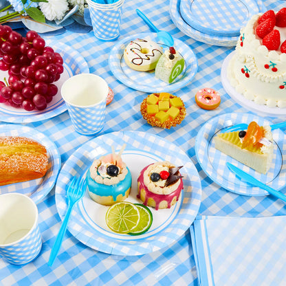 Preboun 198 Pcs Gingham Party Supplies for 24 Guests Checkered Plaid Tablecloth Pennant Banner Plate Cup Napkin and Cutlery for Picnic BBQ Birthday Baby Shower Party(Light Blue, White)