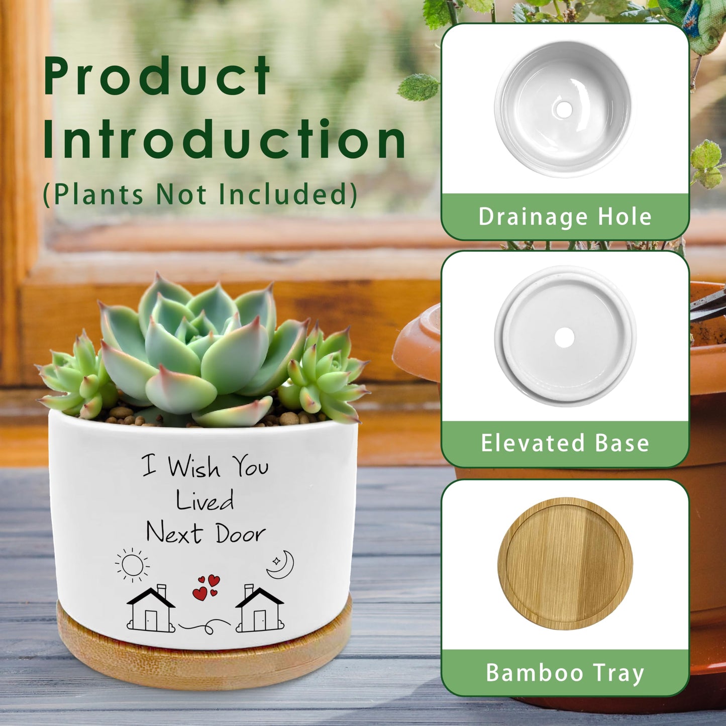 ROXMART Gifts for Best Friend Woman Plant Pots, Friendship Bestie BFF Gifts Succulent Planters, I Wish You Lived Next Door Ceramic Plant Flower Pots for Home Office Desk Table Shelf(No Plants)