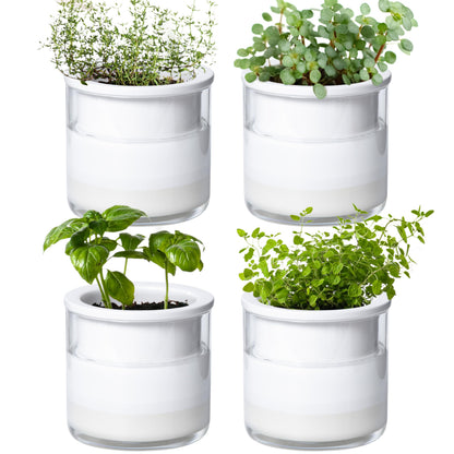 Phoenix Vine 4 Inch Self Watering Planter Pot, Design White Terracotta Pots for Plants, Indoor Cylinder Terra Cotta Pots with Glass Vase, Set of 4, 51-B-E-4