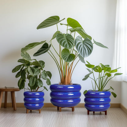 SQOWL 8 Inch Plant Pot - Ceramic Planter Indoor Plant Pot with Drainage Hole Outdoor Flower Pot Round Decorative Plant Pots for Kitchen Counter Desk Decor Blue