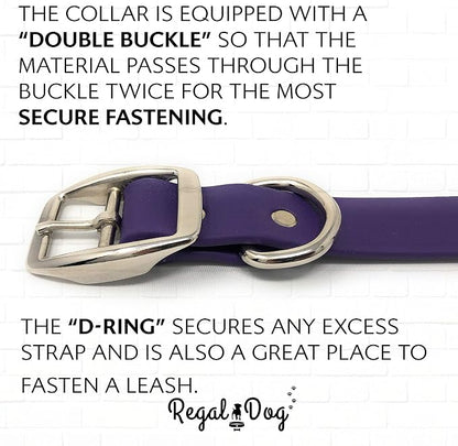 Regal Dog Products Large Purple Waterproof Dog Collar and Leash Set | Heavy Duty Double Buckle & D Ring - 5'ft Leash | Adjustable Biothane Dog Collar | Chew Resistant Waterproof Collar for Dogs