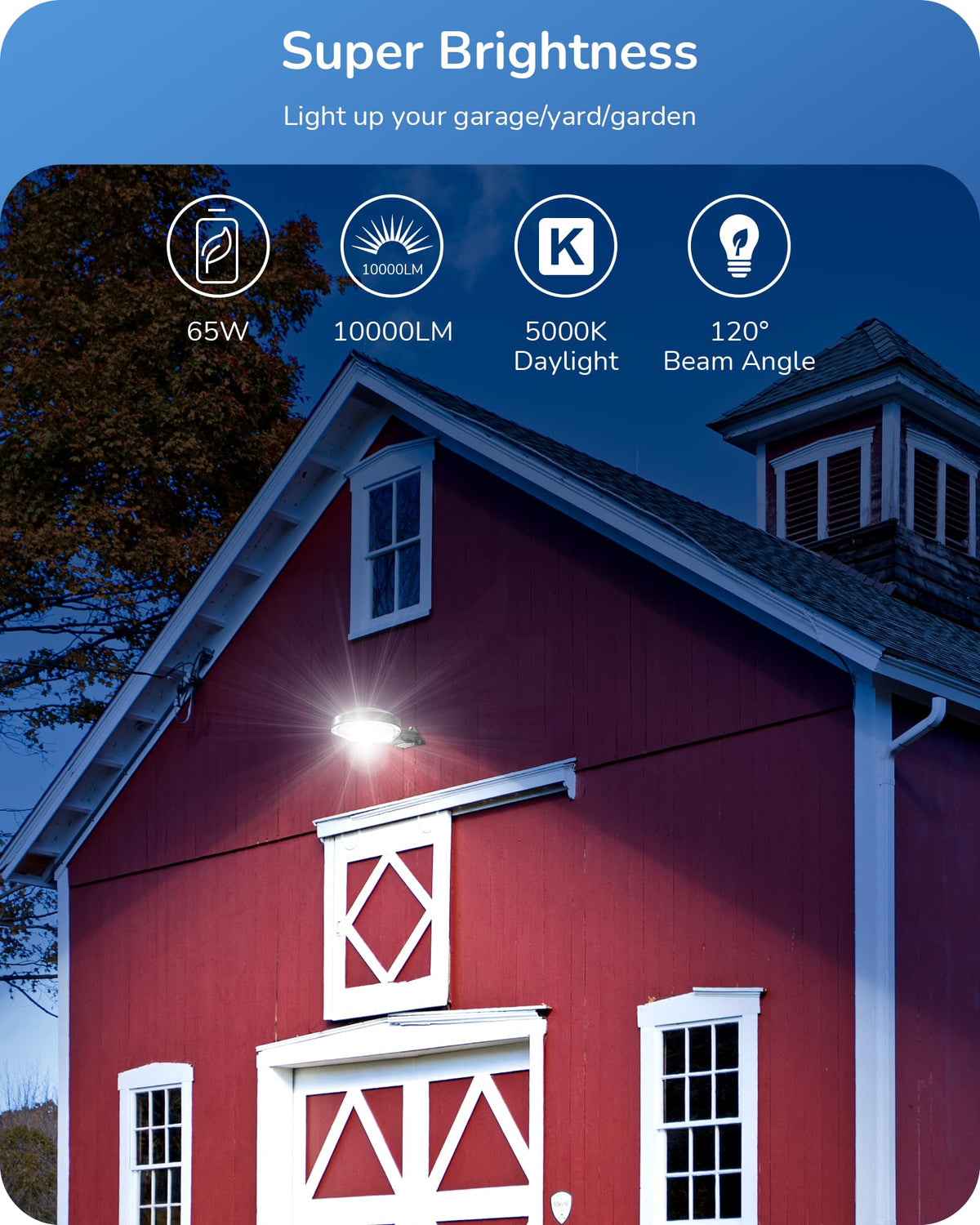 EDISHINE LED Barn Light, 10000LM 65W, Dusk to Dawn, IP65 Waterproof, Black, Model HHBL65A