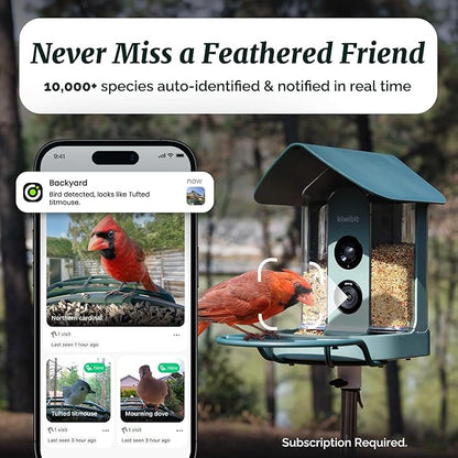 Kiwibit Smart Bird Feeder with Camera, Solar Powered for Outdoors, Bird Species AI Identification, 8MP Photo, 4K Video Livestream, Real-Time Bird Alert, Birdwatching Gift for Bird Lovers, Forest Birch