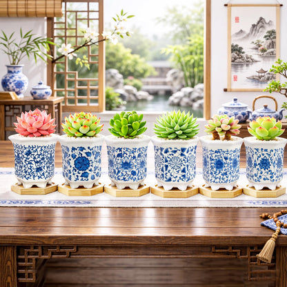 Succulent Pots, Small Ceramic Pots for Plants Set of 6, 3.3" Succulent Planters with Drainage & Saucers, Mini Plant Pots for Indoor Plants, Cactus, Small Flower Pots for Home Office