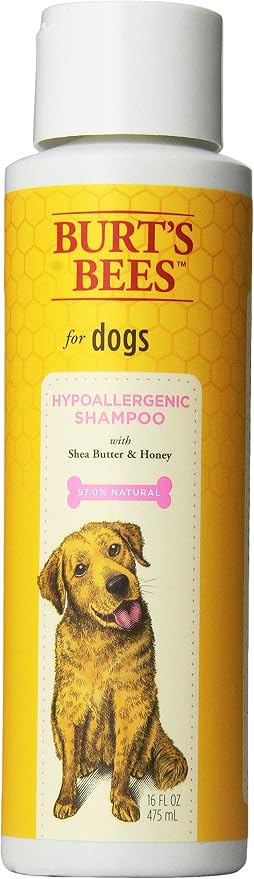 Burt's Bees for Pets Hypoallergenic Dog Shampoo with Shea Butter and Honey, Gentle Fragrance Free Shampoo for Sensitive Dogs with 95% Natural Origin Skin and Coat Formula, 16 Fl Oz