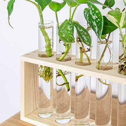 Propagation Station, Plants Terrarium, Plants Lover Gifts for Women,Plant Cutting Holder Home décor,Gifts for Women,House Warming New Home-5 Tubes-Beige