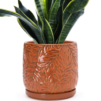 D'vine Dev 8 Inch Embossed Leaves Stoneware Planter Pot with Drainage Hole and Saucer, Pumpkin, 27-A-Q-J