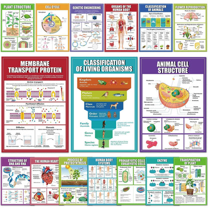 EggSun 16 Pcs Biology Science Posters for High School Classroom Decorations, 11 x 16in Life Science Poster Charts for Teachers Middle School Supplies Education Classroom Bulletin Board Wall Decor