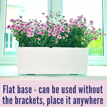 LaLaGreen Bundle- 4 Pack, 14 Inch Rectangular Self Watering Planter + 2 Pack, 11 Inch Round Self Watering Basket Rattan Style Balcony Flower Pot Window Wall Mount Plants Boxes Modern Home Garden Decor