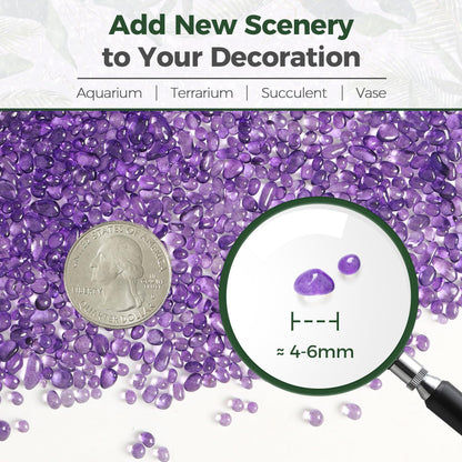 T4U Fish Tank Gravel 2 LB, Tumbled Small Rocks for Aquarium, Glass Beads for Vases, Succulent Rocks for Plants, Aquarium Gravel Decorative Pebbles for Terrarium Crafts Vase Filler, Purple