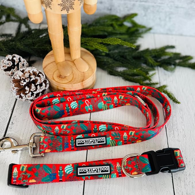 Lucky Love Dog - Easy Click Buckle Dog Collar with Leash Set Combo, Durable & Comfortable for Male & Female Dogs, Pet Collar for Medium Dogs, Secure Fit - Fritz Combo, Medium
