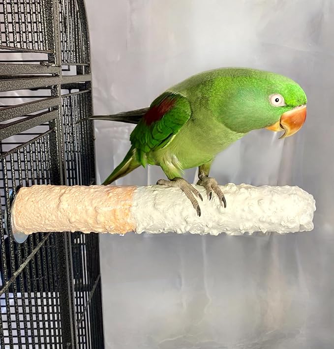 Polly's Edible Cuttlebone Calcium Bird Cage Perch for Budgies, Parakeets, Amazons, Blue & Golds, Macaws and Cockatoos.… (Variety, Large)