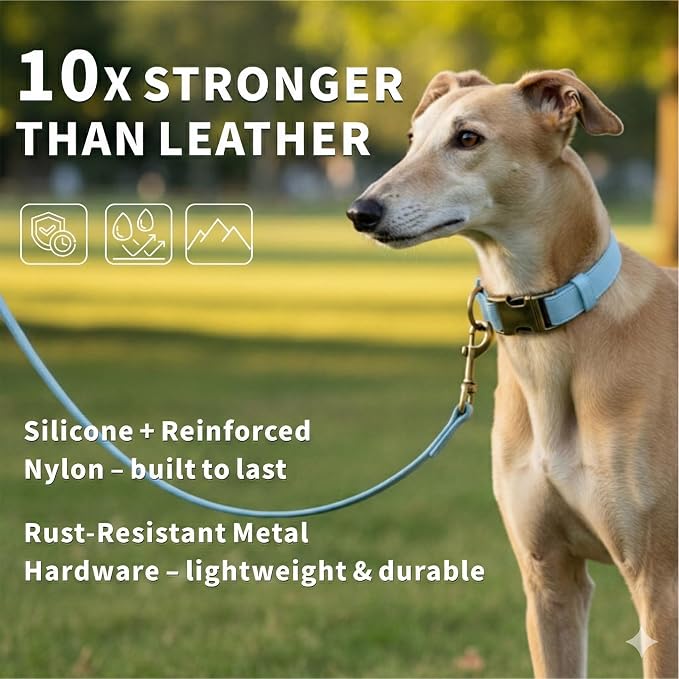 Silicone Dog Collar and Leash Set, Waterproof & Odor-Proof Puppy Collar for Small Dogs, Soft Flexible Leather-Look Dog Collars, Durable Thick Adjustable Pet Collar (Blue, Medium (12.5-20" Neck))