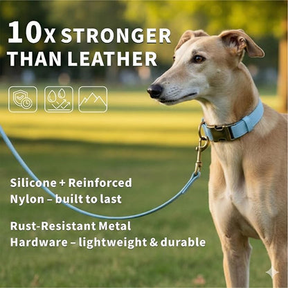 Silicone Dog Collar and Leash Set, Waterproof & Odor-Proof Puppy Collar for Small Dogs, Soft Flexible Leather-Look Dog Collars, Durable Thick Adjustable Pet Collar (Blue, Medium (12.5-20" Neck))