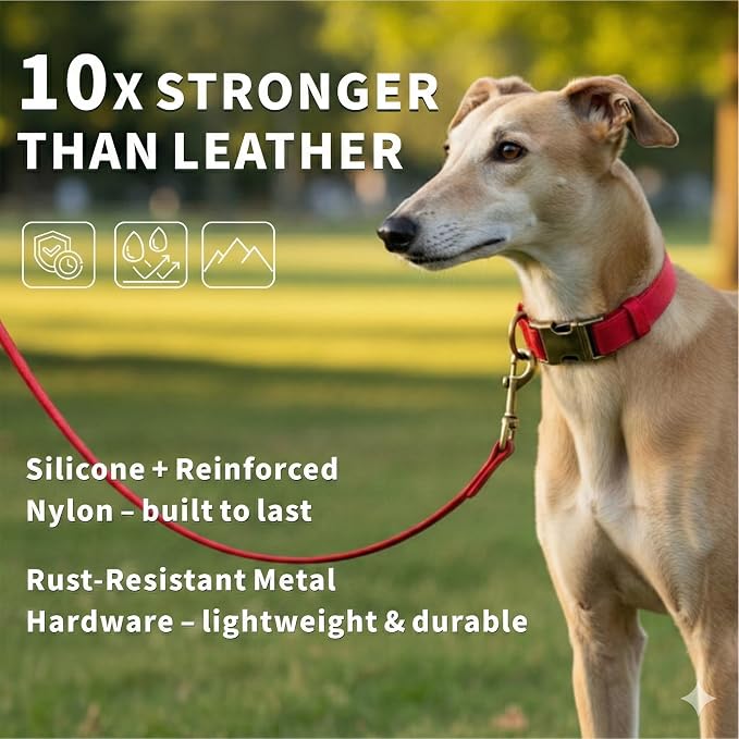 Silicone Dog Collar and Leash Set, Waterproof & Odor-Proof Puppy Collar for Small Dogs, Soft Flexible Leather-Look Dog Collars, Durable Thick Adjustable Pet Collar (Red, Large (16-24.5" Neck))