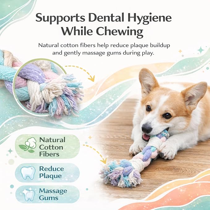 Dog Rope Toy – Eco-Friendly Durable Cotton Dog Chew Toy for Aggressive Chewers & Puppies – Interactive Molar Teeth Cleaning, Perfect for Small & Medium Dogs (10in), Safe, Non-Toxic, Fun Play