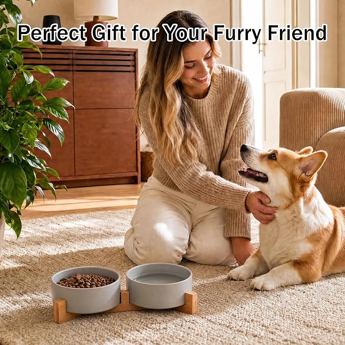 MateeyLife Ceramic Dog and Cat Bowls with Stand, 2-Pack Food and Water Bowl Set - Non-Slip Pet Bowls for Small & Medium Size Dogs，28.7OZ(Grey)