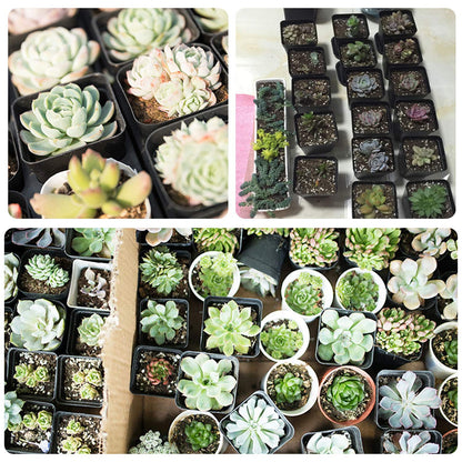 GOETOR 4 Inch Plastic Plant Pots Square Nursery Pot 25 PCS Sturdy & Reusable Starter Container for Starting Seedlings, Succulents,Cuttings & Transplanting with Drainage Holes, Black