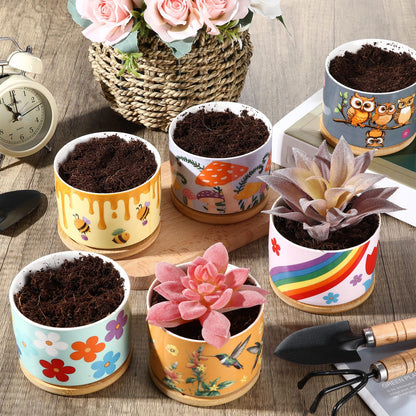 LOYIM 6 Pcs Ceramic Succulent Pots with Drainage and Bamboo Trays, Aesthetic Flower Planters for Spring Decor, Cute Decorative Succulent Pots for Mothers Day, Plant Lovers Gift, 3.7 Inch