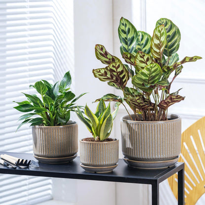 SURE YUESI Speckle Gray Ceramic Plant Pots Set of 3 (4.3”+5.5”+6.7”) Indoor Striped Planters with Drainage Hole, Saucer Pad, Decorative Pots for Plants & Gardening