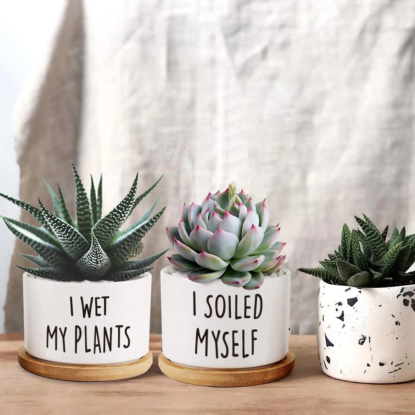 DOFAFALA 2 Pieces I Wet My Plants/I Soiled Myself Funny 3.5 inch Ceramic Flower Planter Pot with Bamboo Tray, Home Kitchen Office Decor Housewarming Gift Women, Friends, Coworker