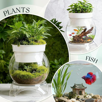 Geelin 1 Gallon Plastic Aquaponic Betta Fish Tank Aquaponic with Base and Top, Large Bowl Shatterproof Ecosystem Aquarium with Clear Clarity for Terrarium, Flower Vase Betta Fish Centerpiece Gifts
