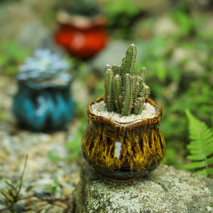Fulloog Cute Ceramic Succulent Planters, Garden Pots with Drainage and Attached Saucer, Set of 6 - Plants Not Included