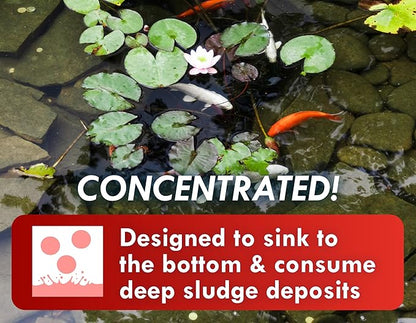 Koiworx Muck Reducer - Treats up to 2,500 gallons for up to 4 Months - Tablets Reduce Muck, Sludge and Organic Build up - Formulated for Ponds and Water Features - Safe for Koi