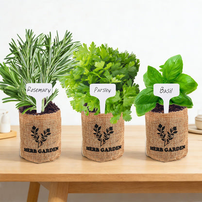 Meekear 5 Herb Indoor Starter Kit, Complete Planting Set for Kitchen Herb Garden DIY & Gift