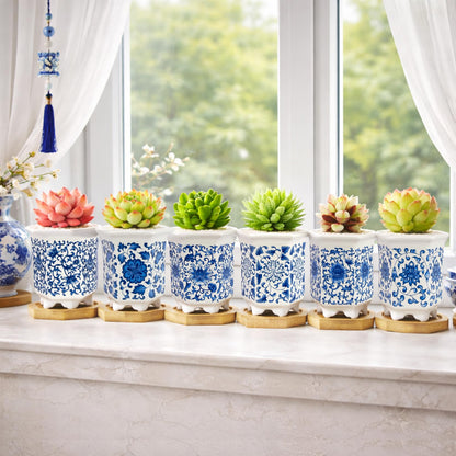 Succulent Pots, Small Ceramic Pots for Plants Set of 6, 3.3" Succulent Planters with Drainage & Saucers, Mini Plant Pots for Indoor Plants, Cactus, Small Flower Pots for Home Office
