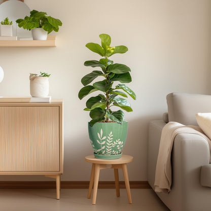 EPFamily 8 Inch Indoor Plant Pot with Drainage and Saucer - Ceramic Planter for Indoor Outdoor Plants, Decorative Flower Pot, Desk Home Office Garden Decor, Plant Lovers Gifts, Green