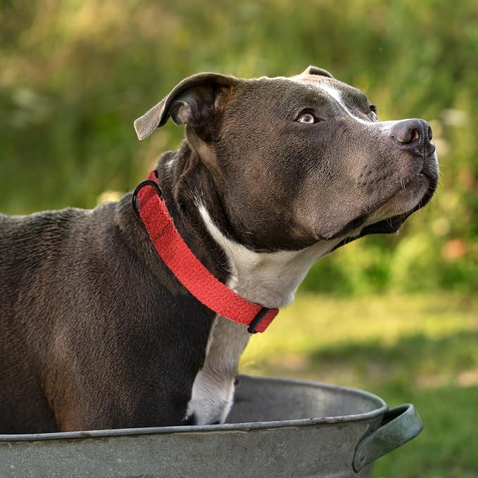 Mile High Life Soft & Strong Poly Cotton Collar - Adjustable with Quick Release Buckle for Small to Large Dogs, Red