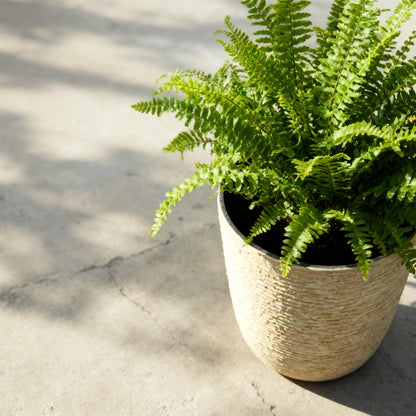 Worth 9 Gallon Tall Round Planters Set of 2-14" Dia x 21" H Stone Finish Flower Pots Indoor Decorative Container Garden Patio Unbreakable Beige