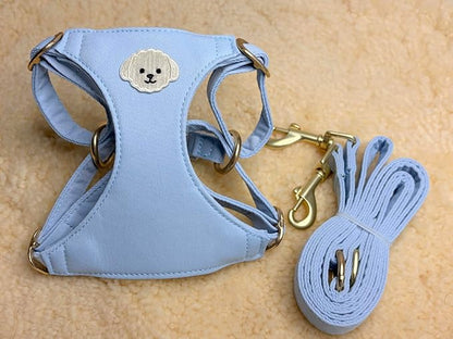 AetruffyPet 100% Cotton Dog Harness and Leash Set – Soft Breathable Vest for Small Dogs, Adjustable No-Choke Design, Lightweight Walking Set (XS/S/M) (Blue, S)
