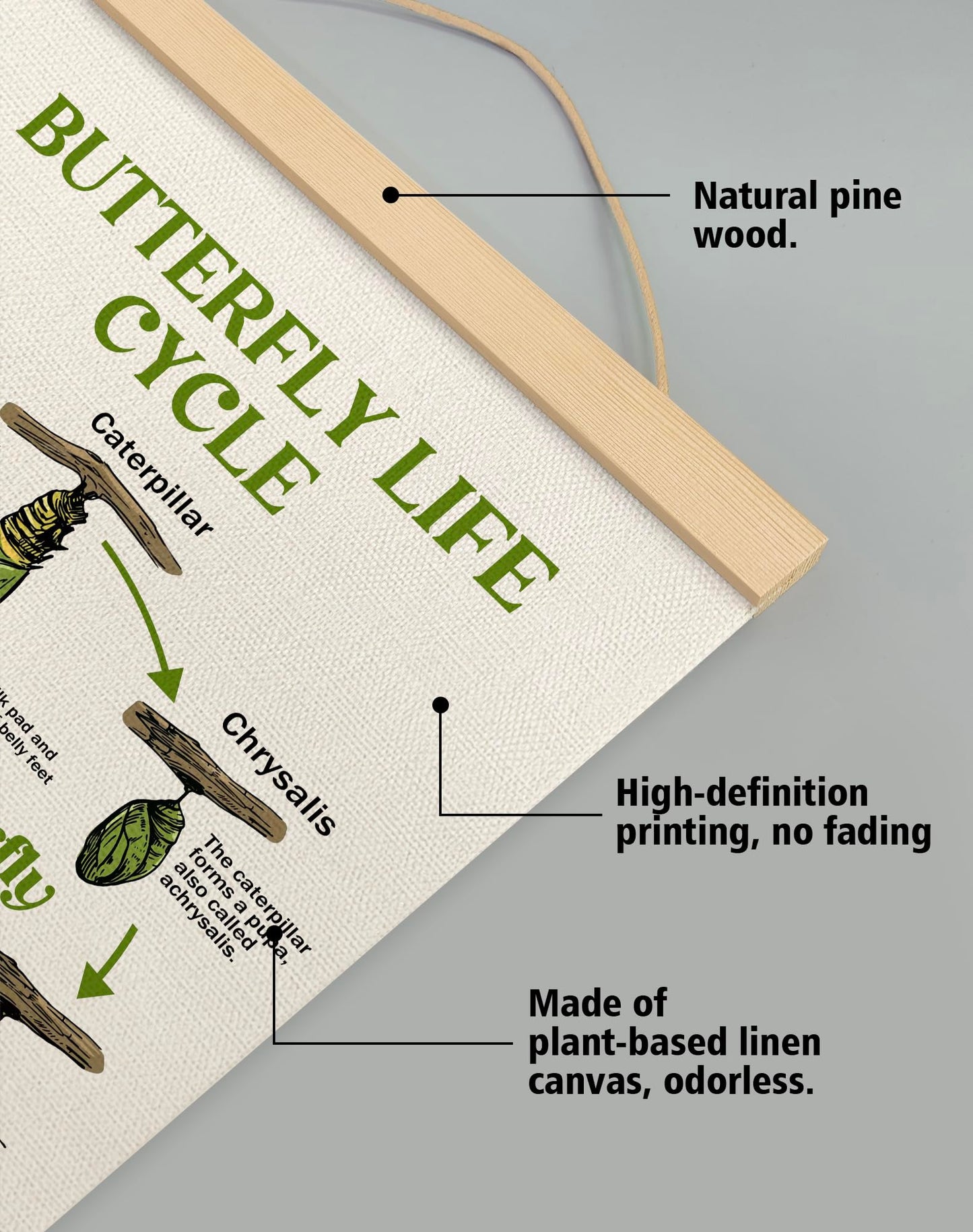 Butterfly Life Cycle Educational Wall Art,14x18.5Inch Insect Life Cycle Chart Wall Hanging Canvas Poster, Butterfly Science Learning Posters for Classroom Nursery Homeschool,Kids Room Decor (Green)