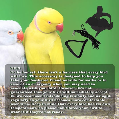 Adjustable Bird Leashes and Harnesses, Bird Nylon Harness with Cute Wing for Parrots, Pet Bird Accessories, Bird Leash for Hang Out, Suitable for Cockatiel, Quaker, Amazon Parrot and Same Size Birds