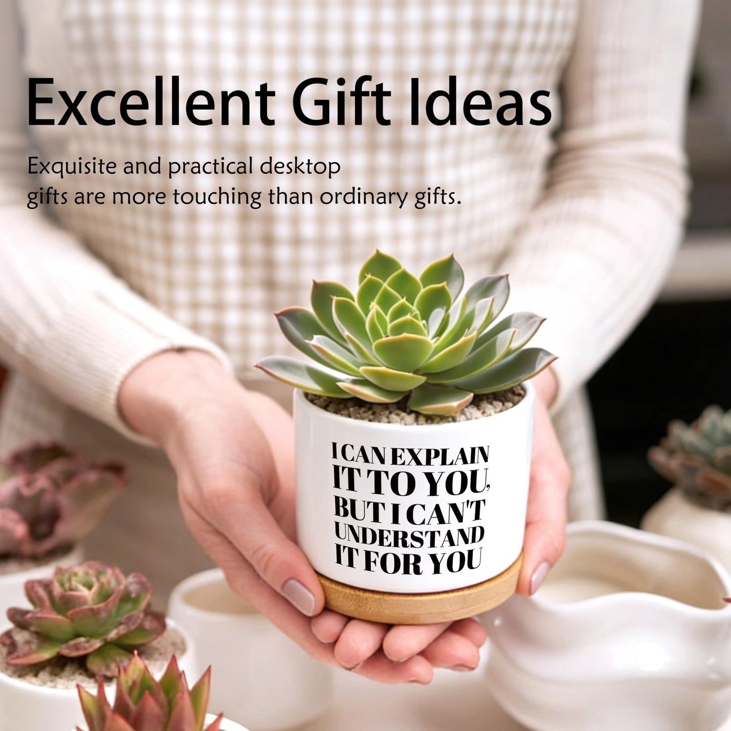 EVIHCG Humorous Quote Planter Pots, Funny Gifts for Women Men Friends Teachers, I Can Explain It to You Ceramic Succulent Plant Flower Planters for Home Office Desk Table Shelf(No Plants)