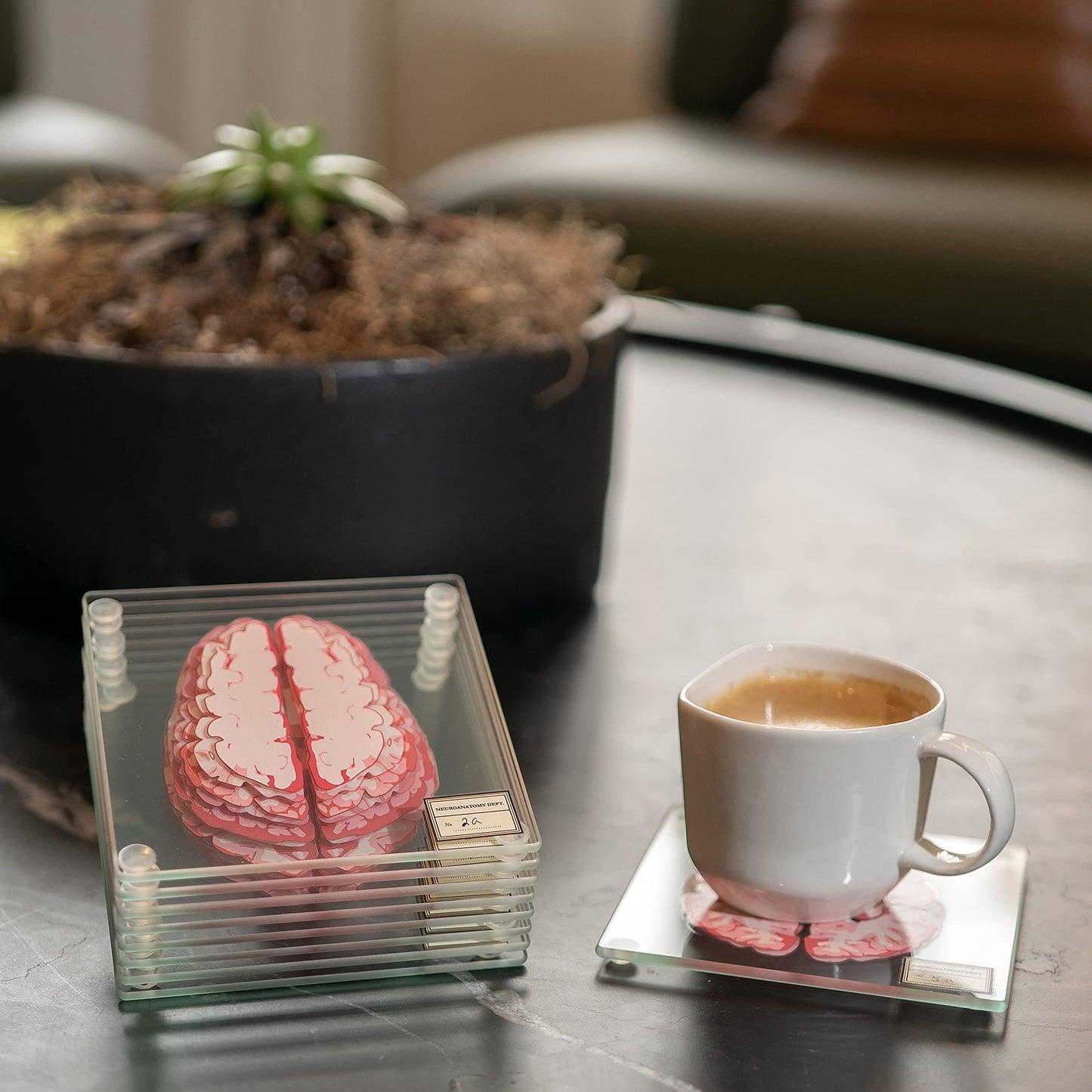 ThinkGeek Anatomic Brain Specimen Coasters Set of 10 for Neuroscience Medical Student Gifts Human Anatomy Generix geek