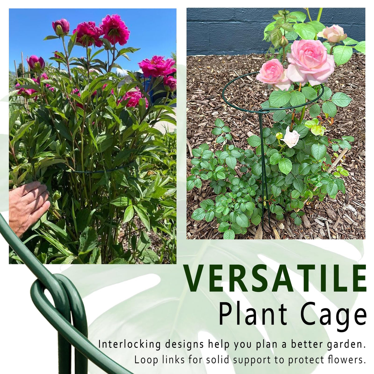 6 Pack Threaded Lock Metal Plant Support Stakes - 25" H Tall Peony Cage, Reusable Detachable Garden Ring for Hydrangea/Rose Bush/Potted Flowers, Indoor Outdoor Heavy Duty (10" W)